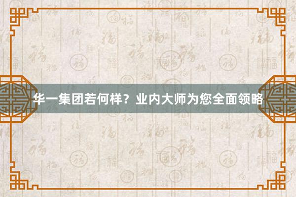 华一集团若何样？业内大师为您全面领略
