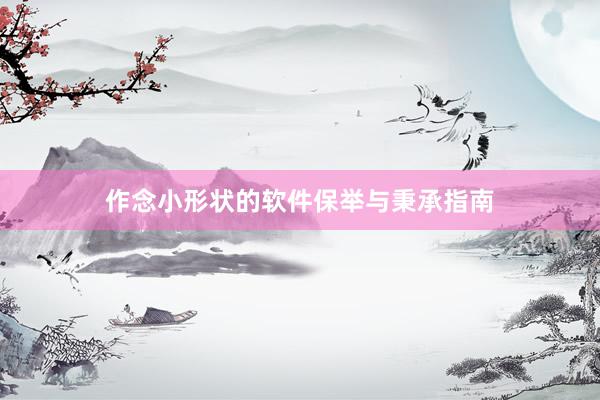 作念小形状的软件保举与秉承指南